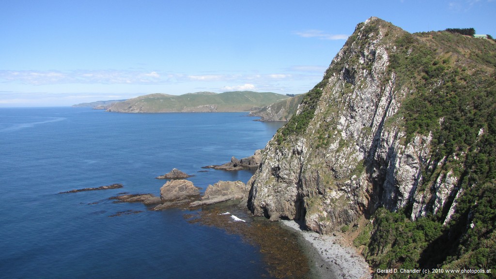 Catlins coast at Nugget Point